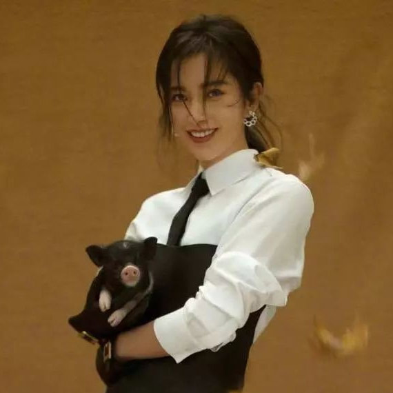 人生总有几个瞬间想和井柏然的猪或朱正廷的狗交换身份 