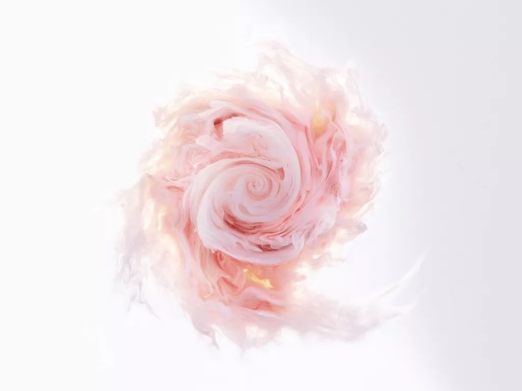 格拉斯玫瑰协奏响起,跳一支爱的回旋曲!